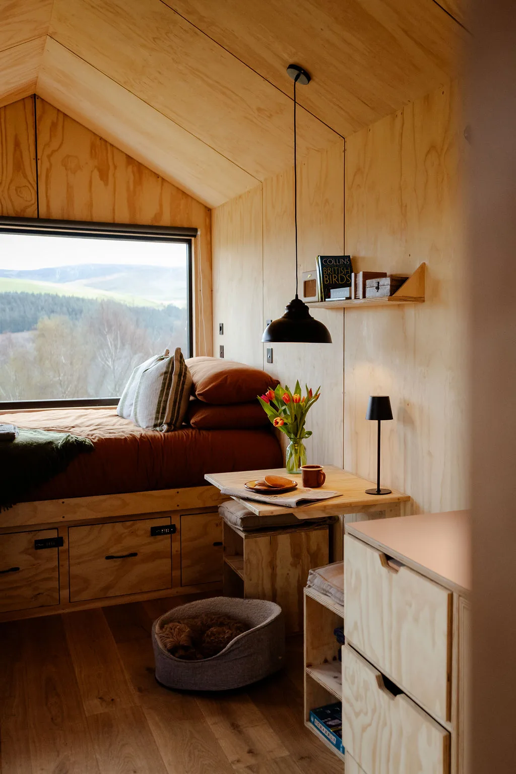 Inside the Draco cabin: the bed by the window with a black pendant light, tulips on the table and hills beyond