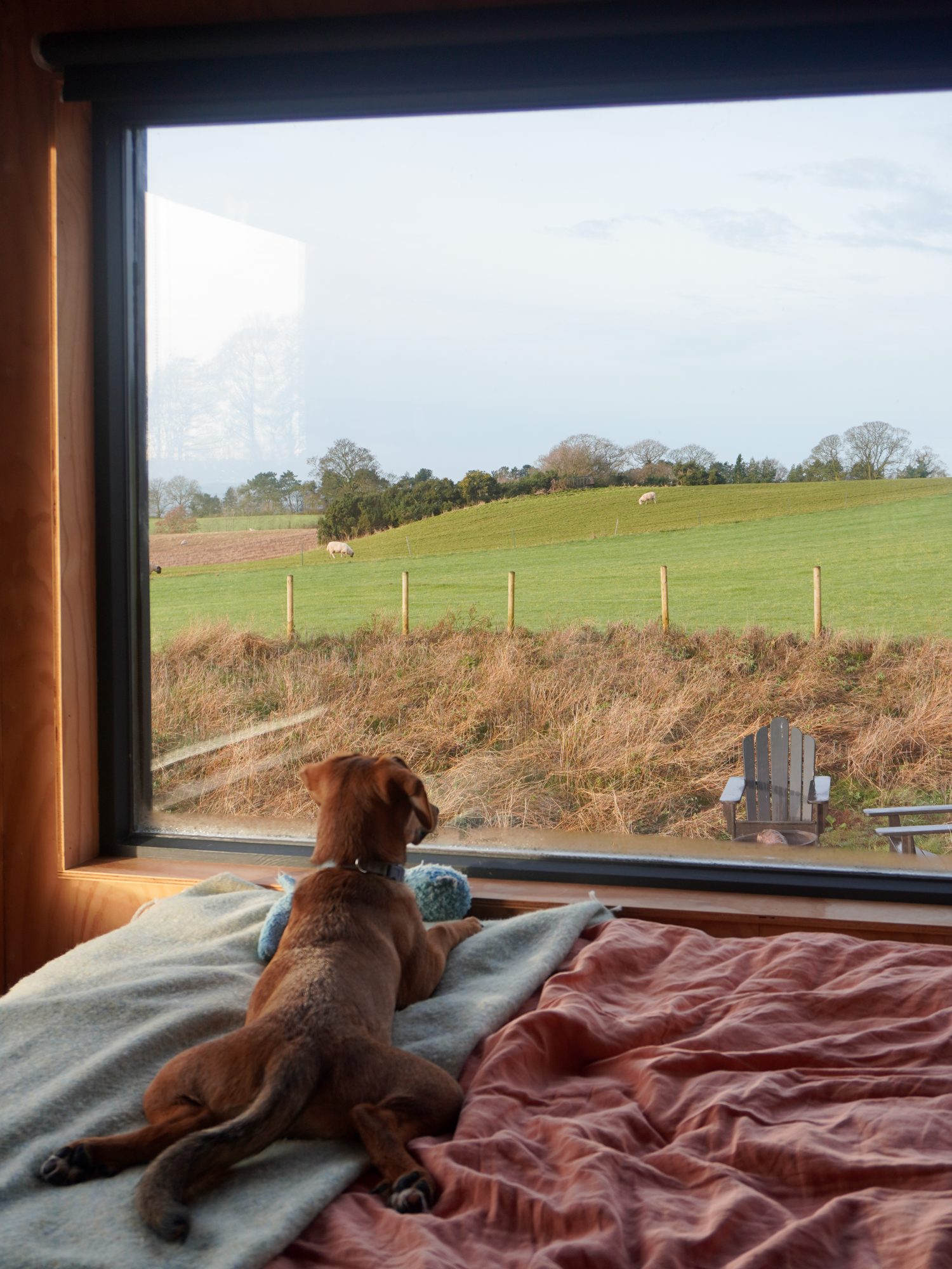 Dog & Pet Friendly Off-Grid Log Cabin Holidays - Off-Grid Small House Rentals For Pet Owners