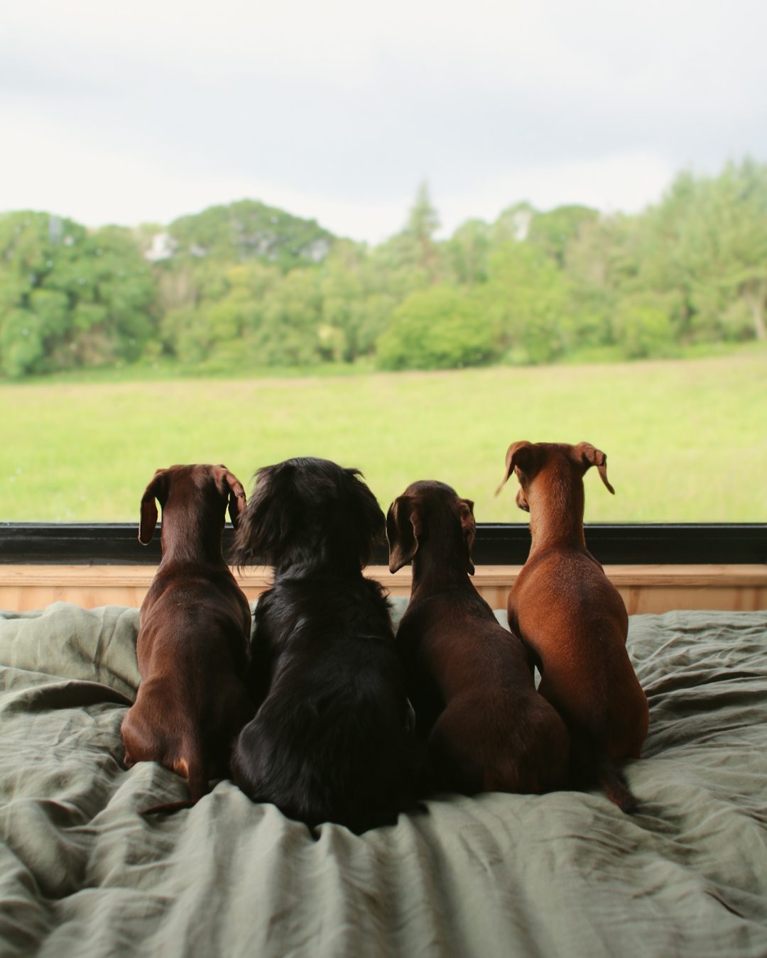 Image showcasing Untitled Image